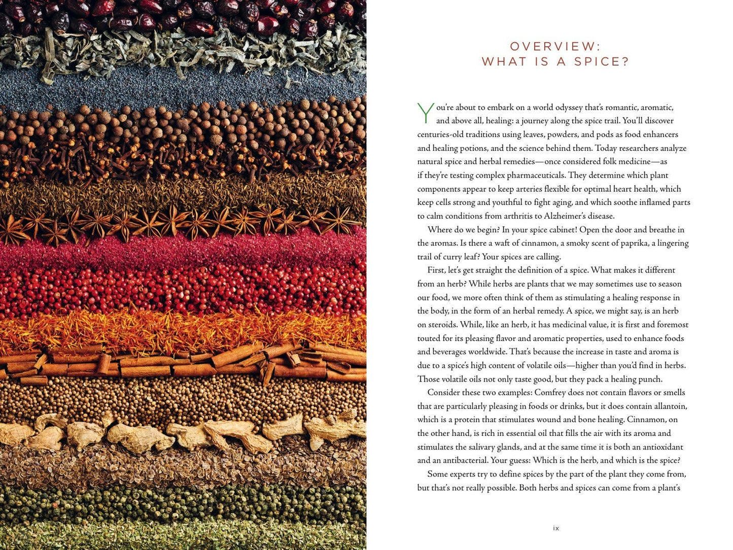 Healing Spices Handbook: Recipes for Natural Living