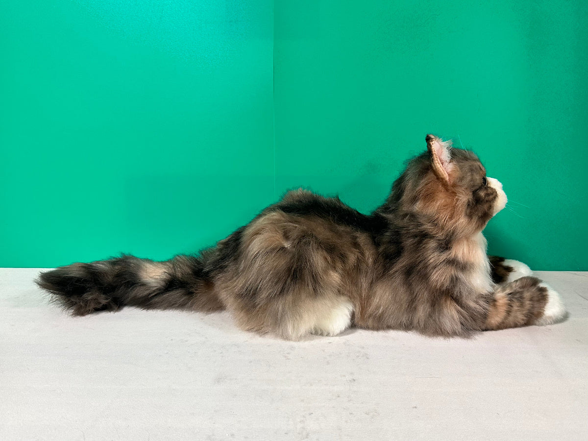 Plush Norwegian Forest Cat-Handmade Life-Size Companion & Pet Memorial