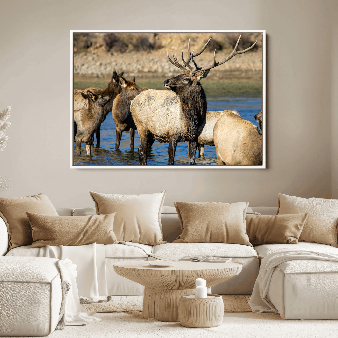 Wild Elk Wall Art Canvas Print – Framed Neutral Wildlife