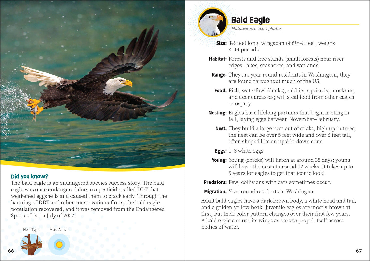 Critters of Washington