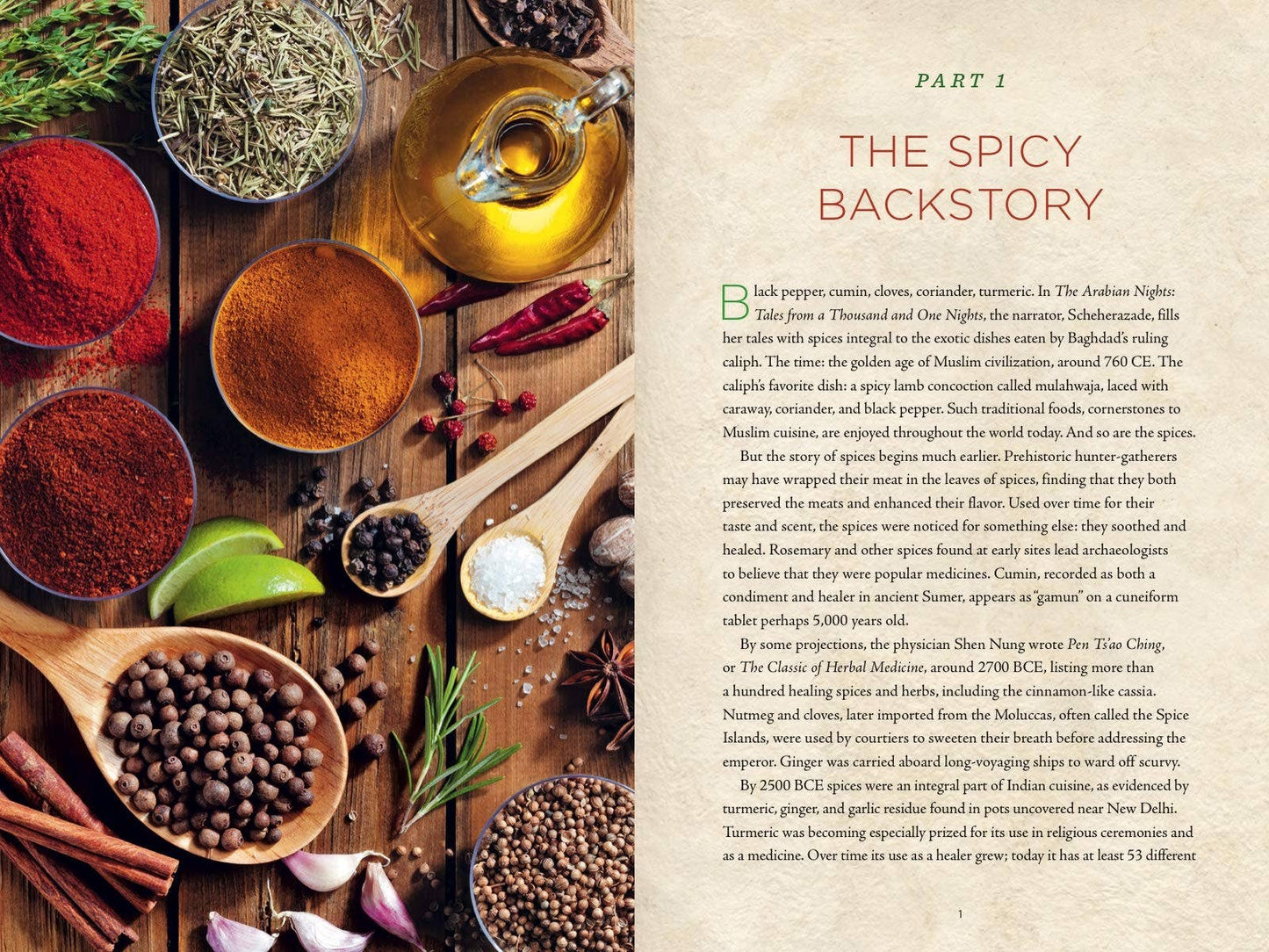 Healing Spices Handbook: Recipes for Natural Living