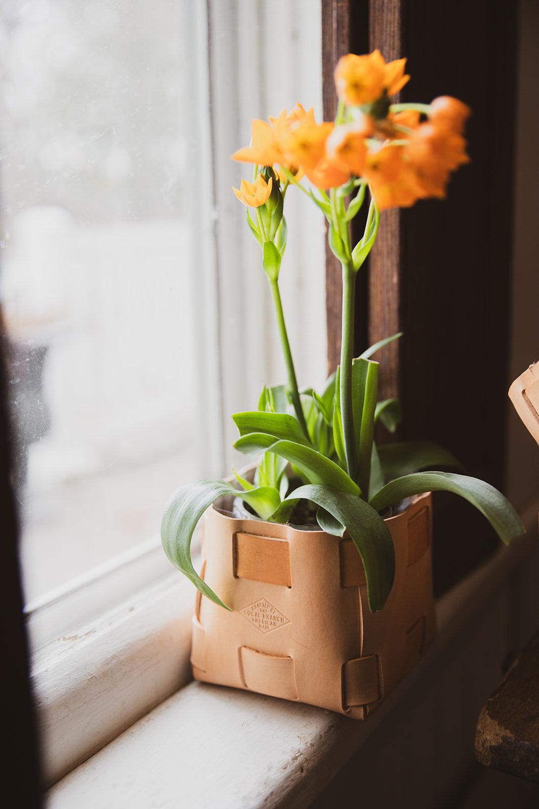 Leather Tabletop Planter - USA Made
