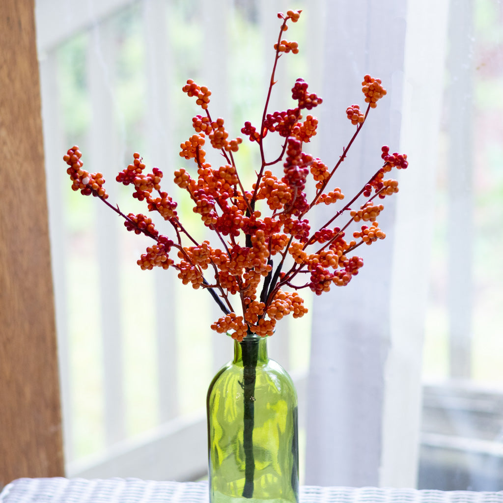 Orange Berry Bouquet Bush