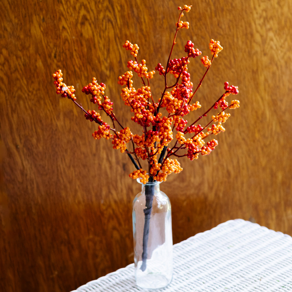 Orange Berry Bouquet Bush