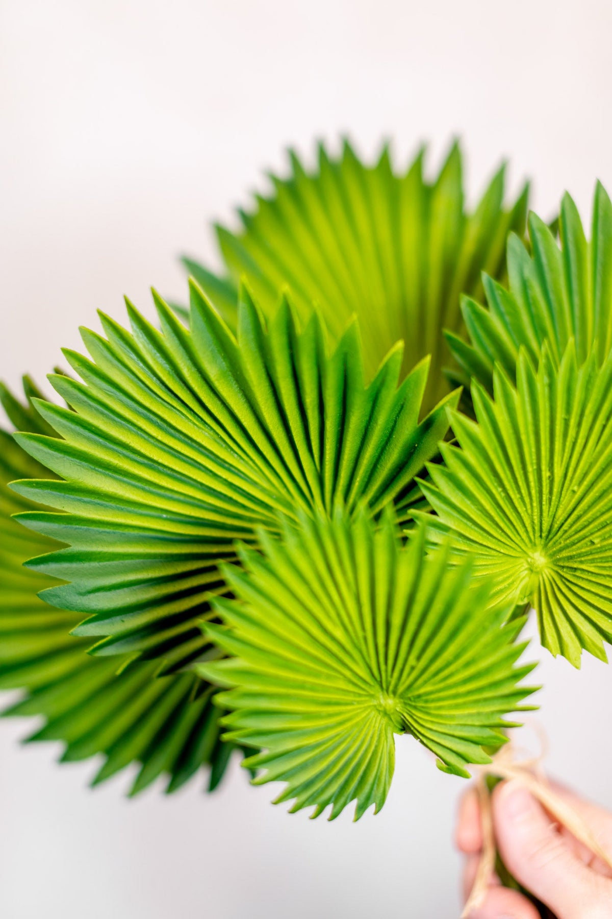 Fan Palm Leaf Bundle Real Touch