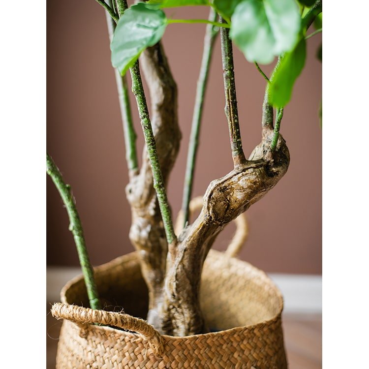 Silk Artificial Apple Banyan Leaf Tree In Pot — faux plant accent for living room office and home decor gift-ready decor idea