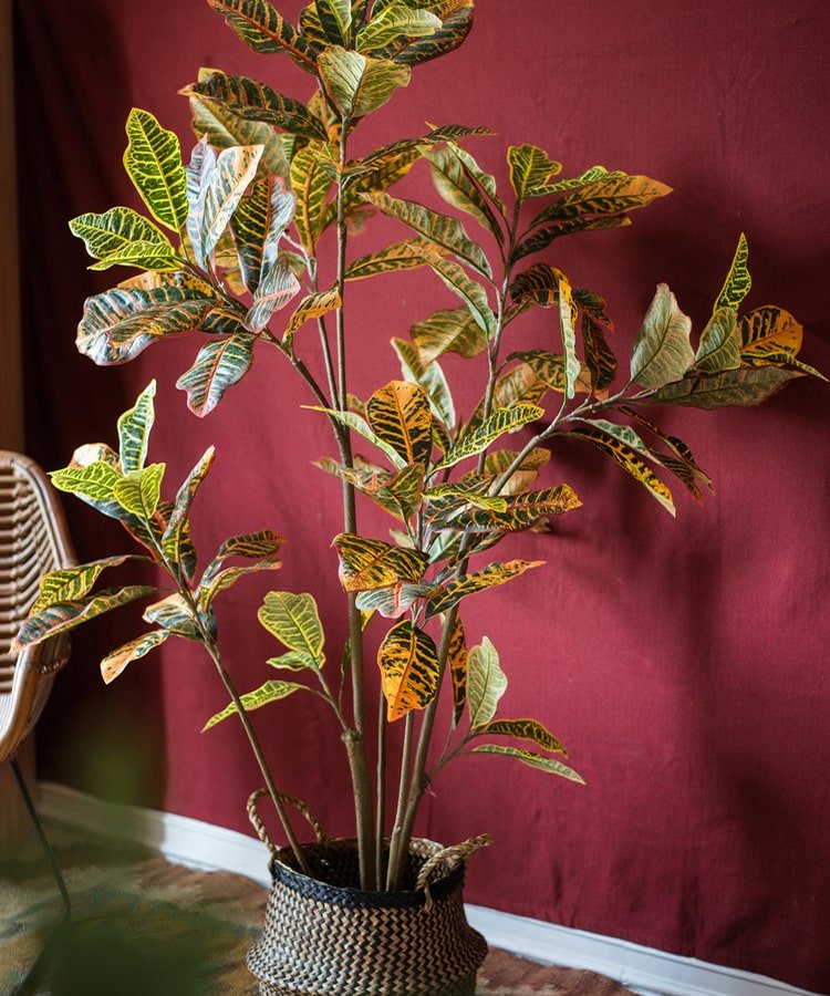 Large Leaf Artificial Croton Tree In Pot — lifelike botanical accent for year round home decor distinctive decor choice