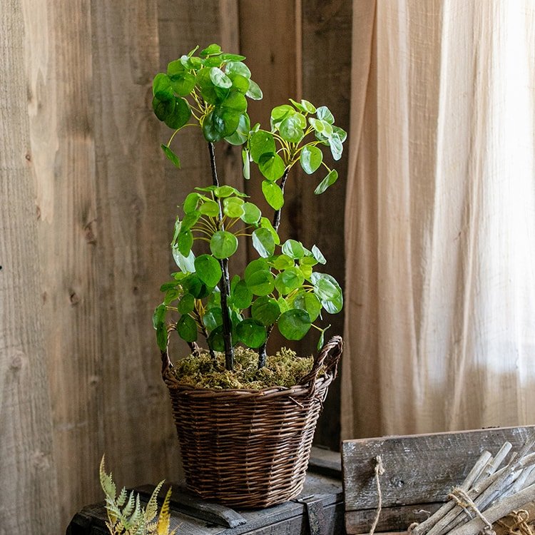Artificial Potted Pilea Plant 26" Tall — artificial botanical decor for low maintenance greenery