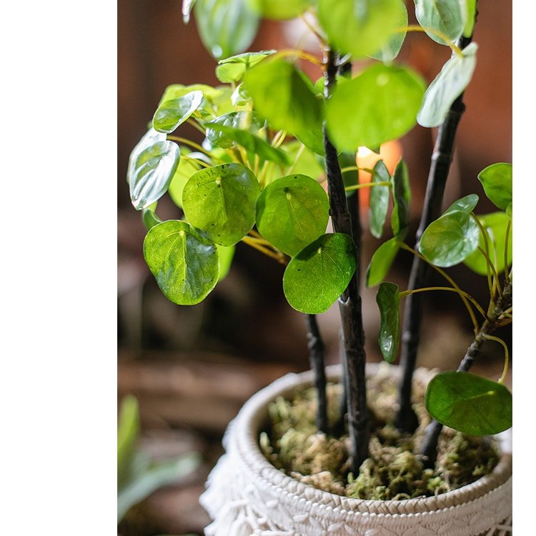 Artificial Potted Pilea Plant 26" Tall — artificial botanical decor for low maintenance greenery decorative design