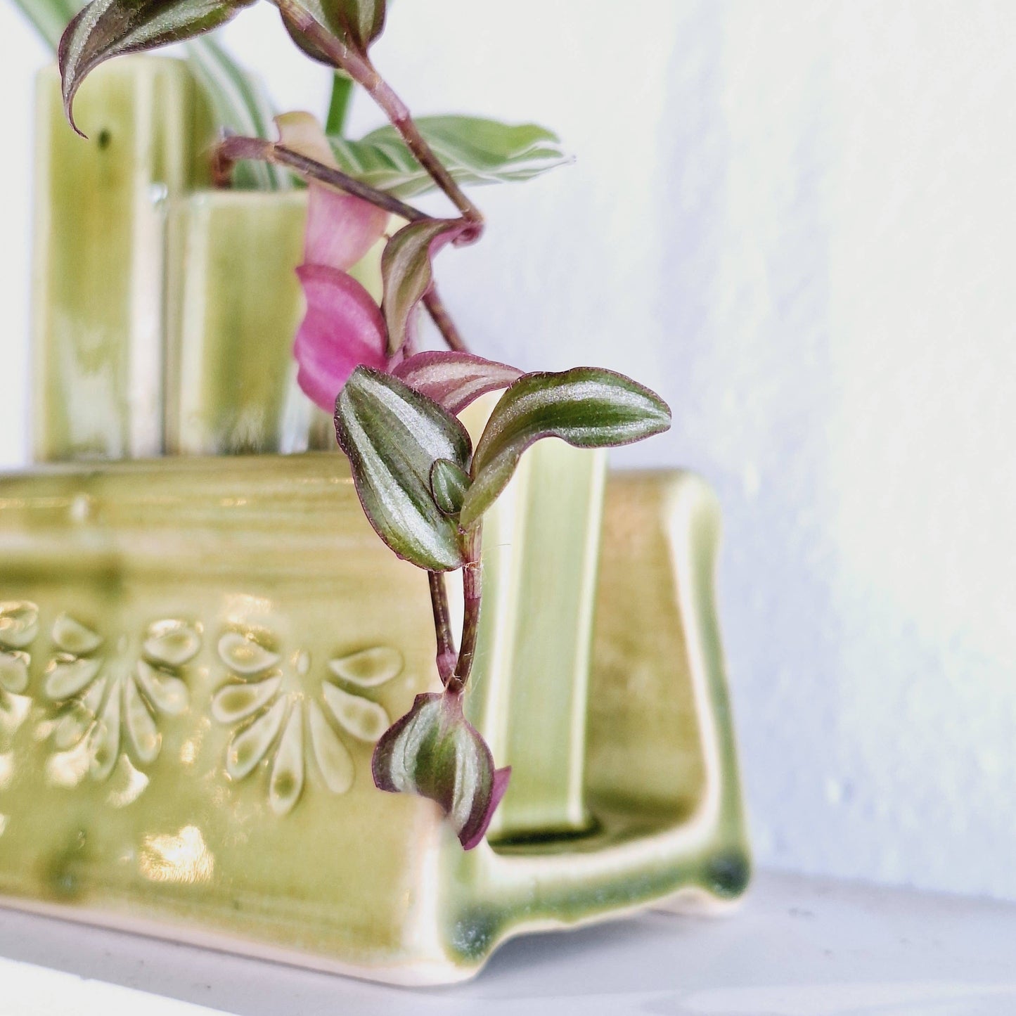 Handmade Stoneware Plant Propagation Vase Made to Order