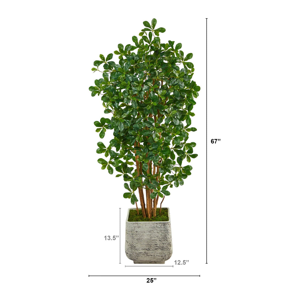 67” Black Olive Artificial Tree with 1365 Bendable Leaves in White Planter
