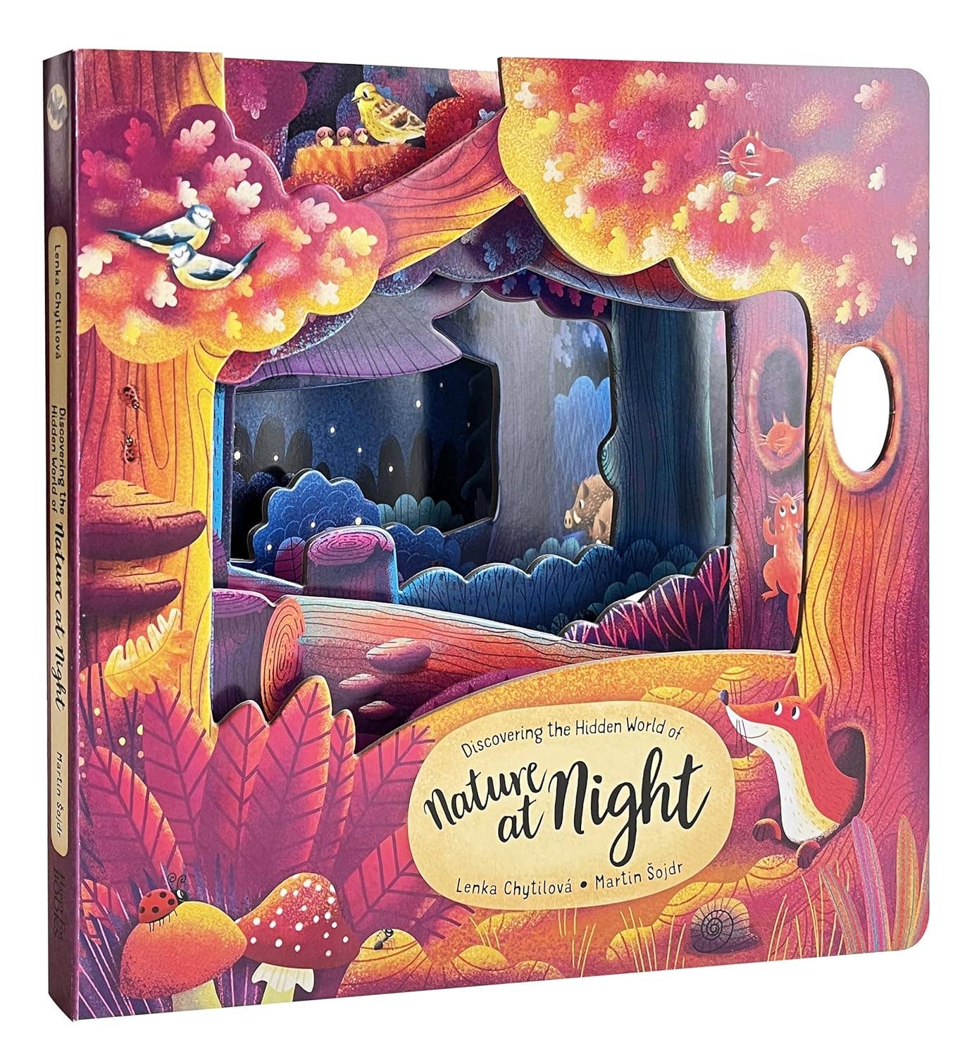 Discovering the Hidden World of Nature at Night-Picture Book