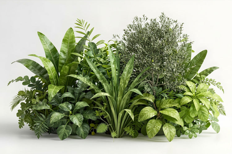 Faux Plants, Artificial Trees & Flowers