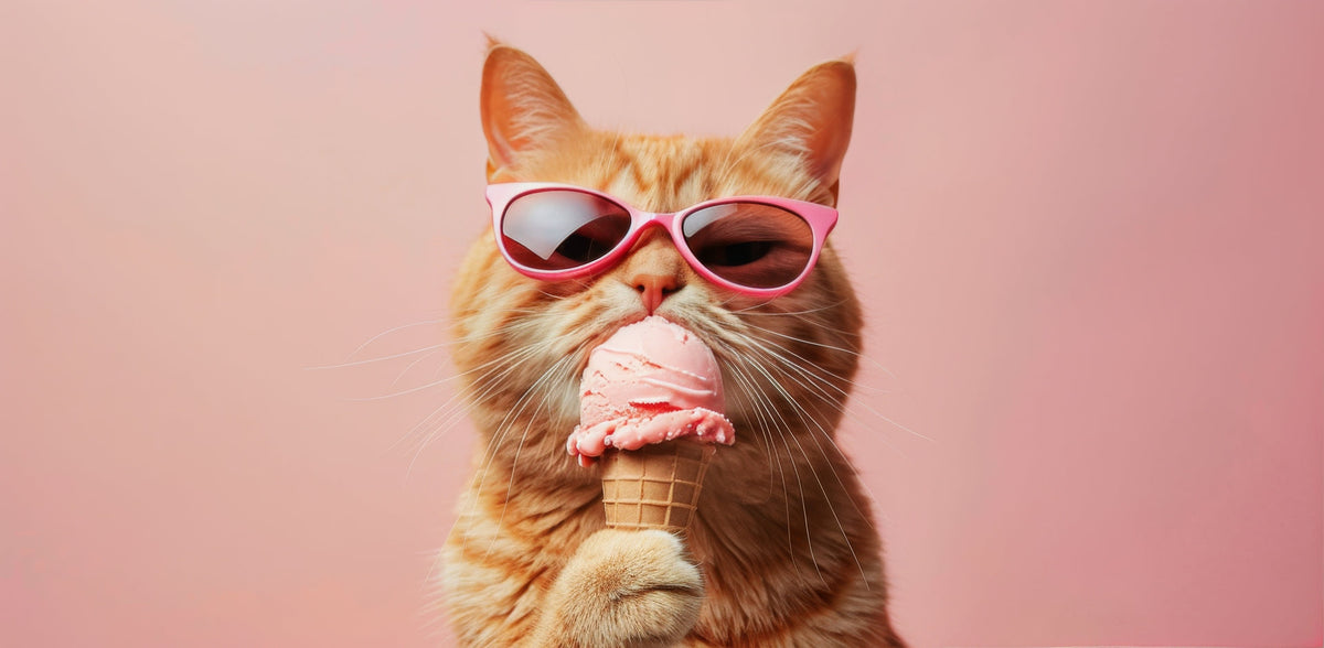 Pet Treats