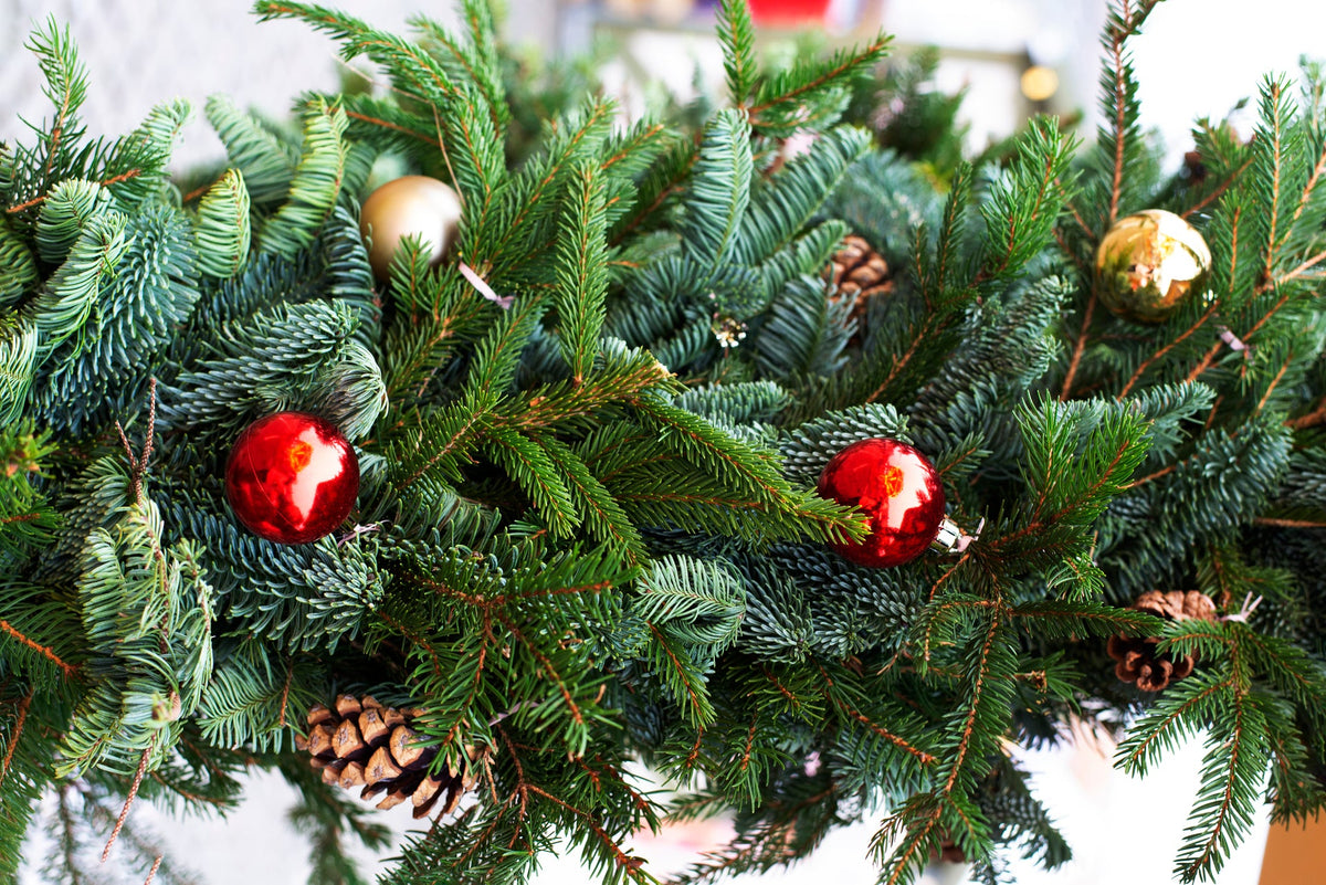 Real Christmas Wreaths & Garlands