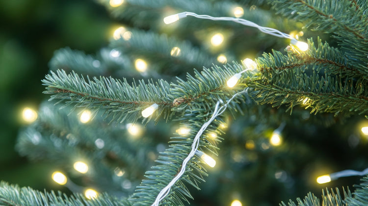 White Christmas Lights
