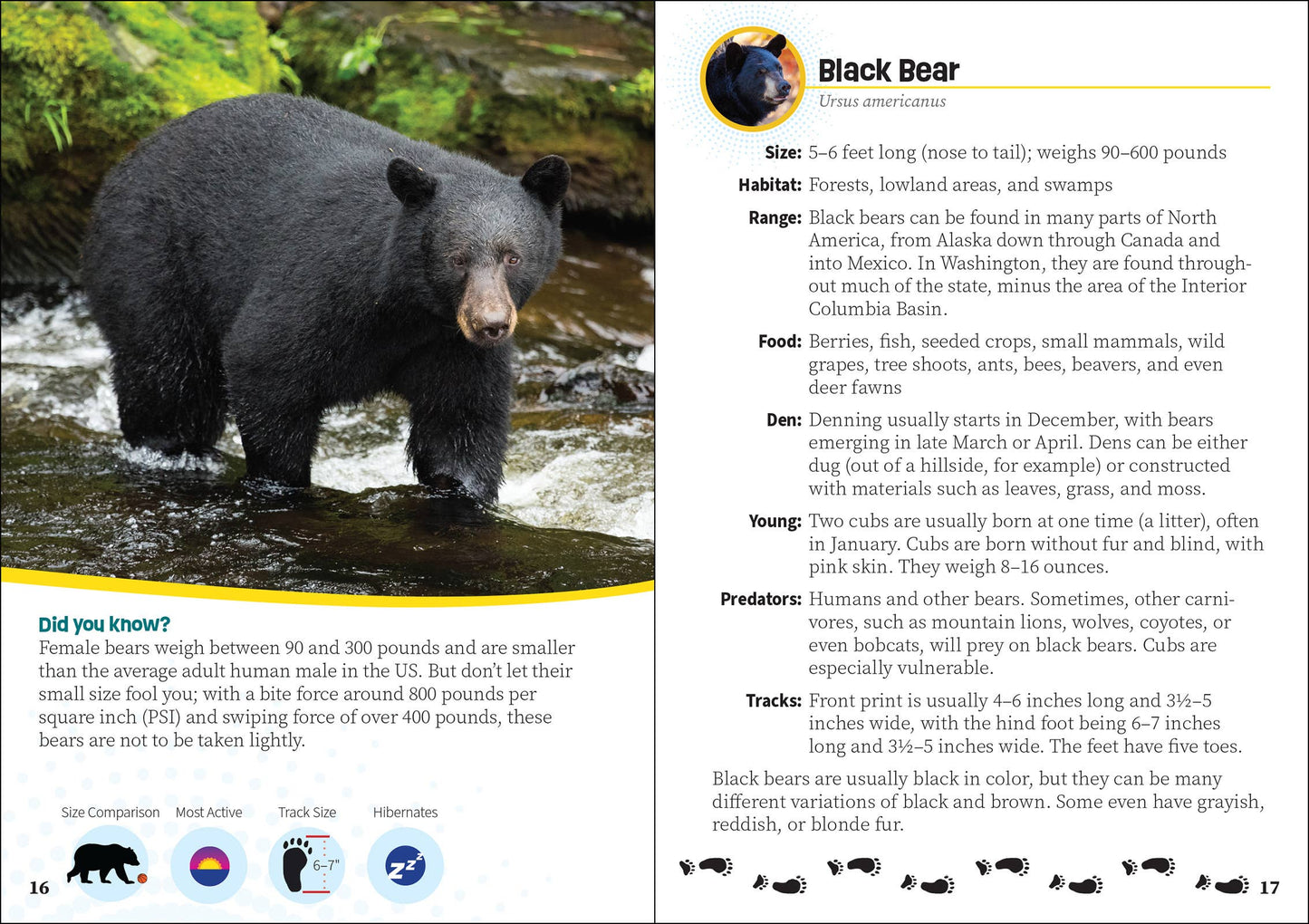 Critters of Washington
