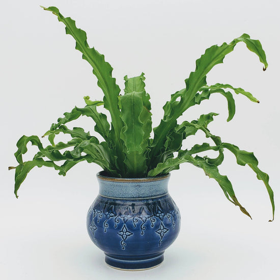 Handmade Stoneware Tabletop Planter Decoration Made to Order