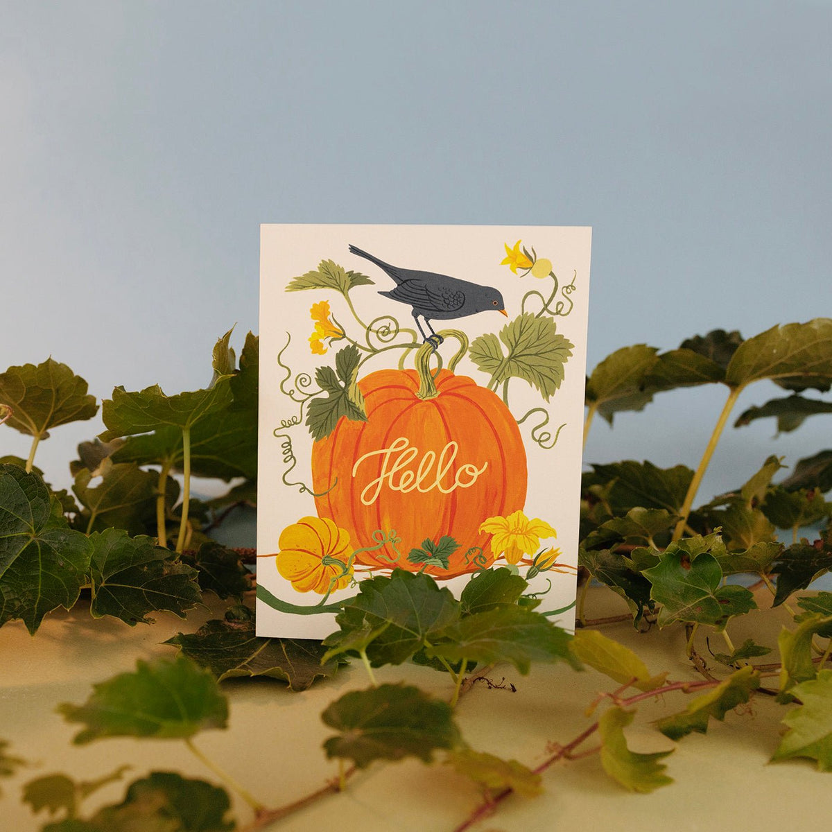 PUMPKIN PATCH | Greeting Card