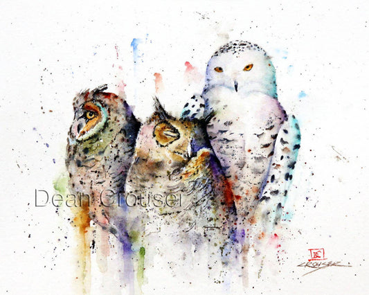 5 x 7" Greeting Card  'OWL TRIO'