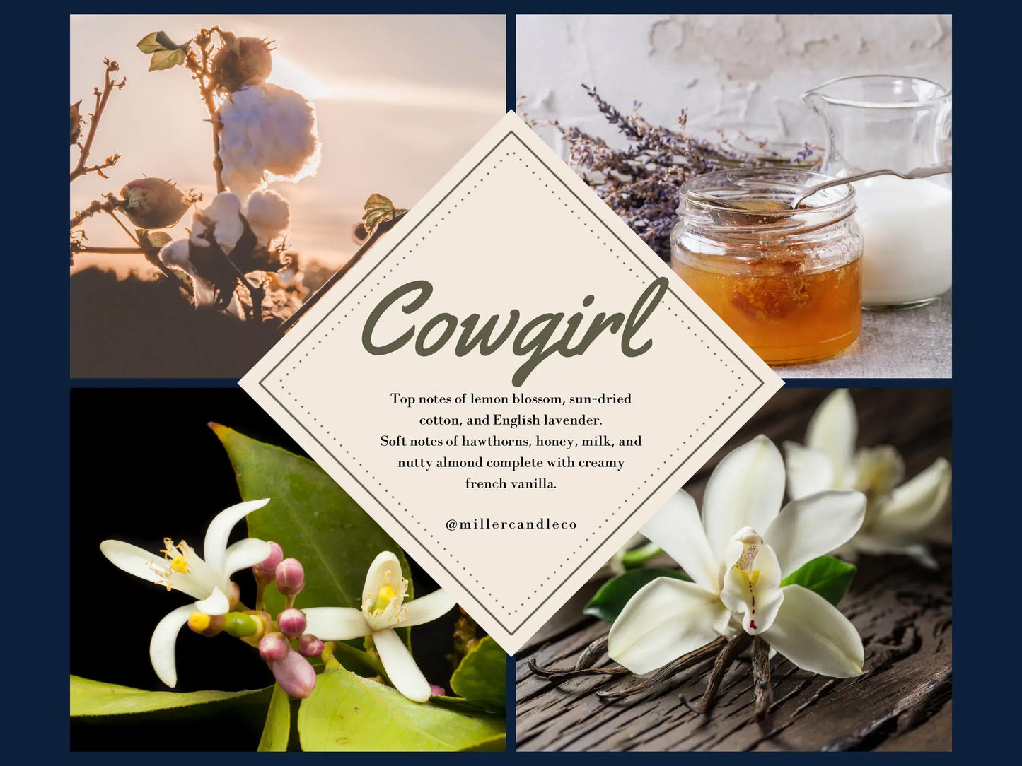 Women’s Goat Milk & Honey Lotion — Barn & Hive