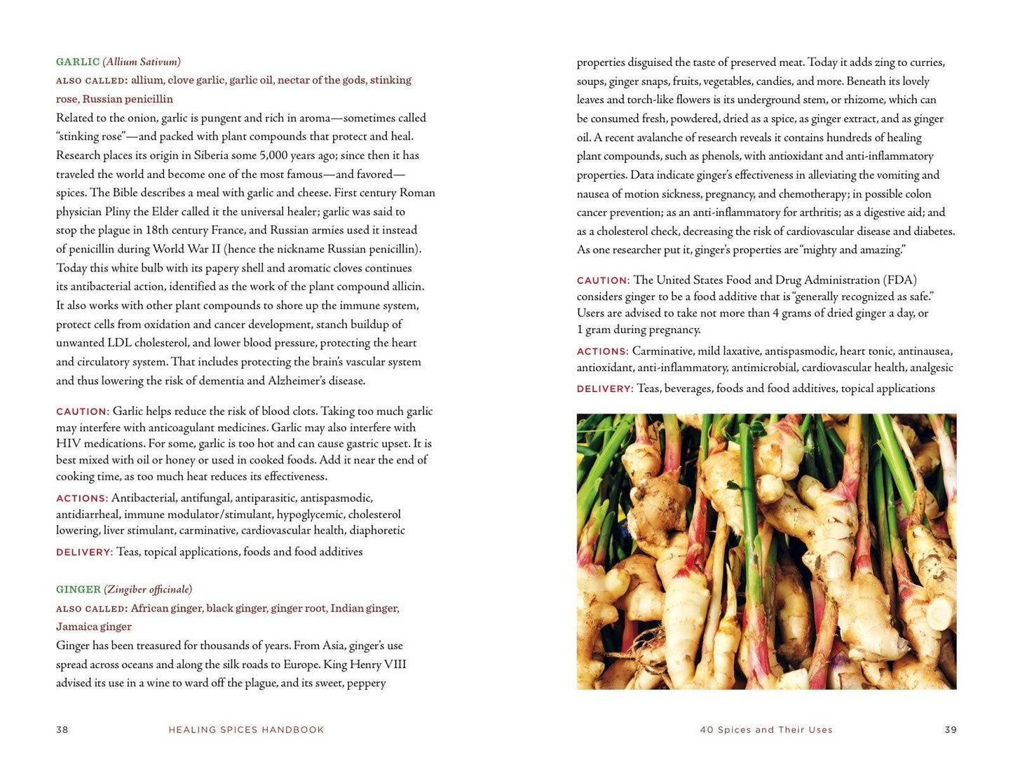 Healing Spices Handbook: Recipes for Natural Living