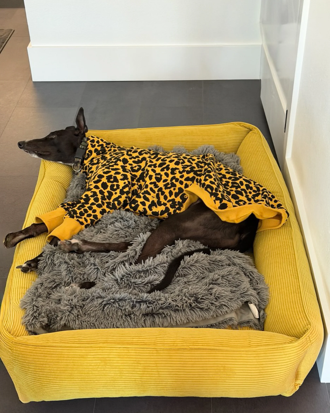 Chester & Lee | Fancy Corduroy Sleeper Dog Bed Sunny Yellow