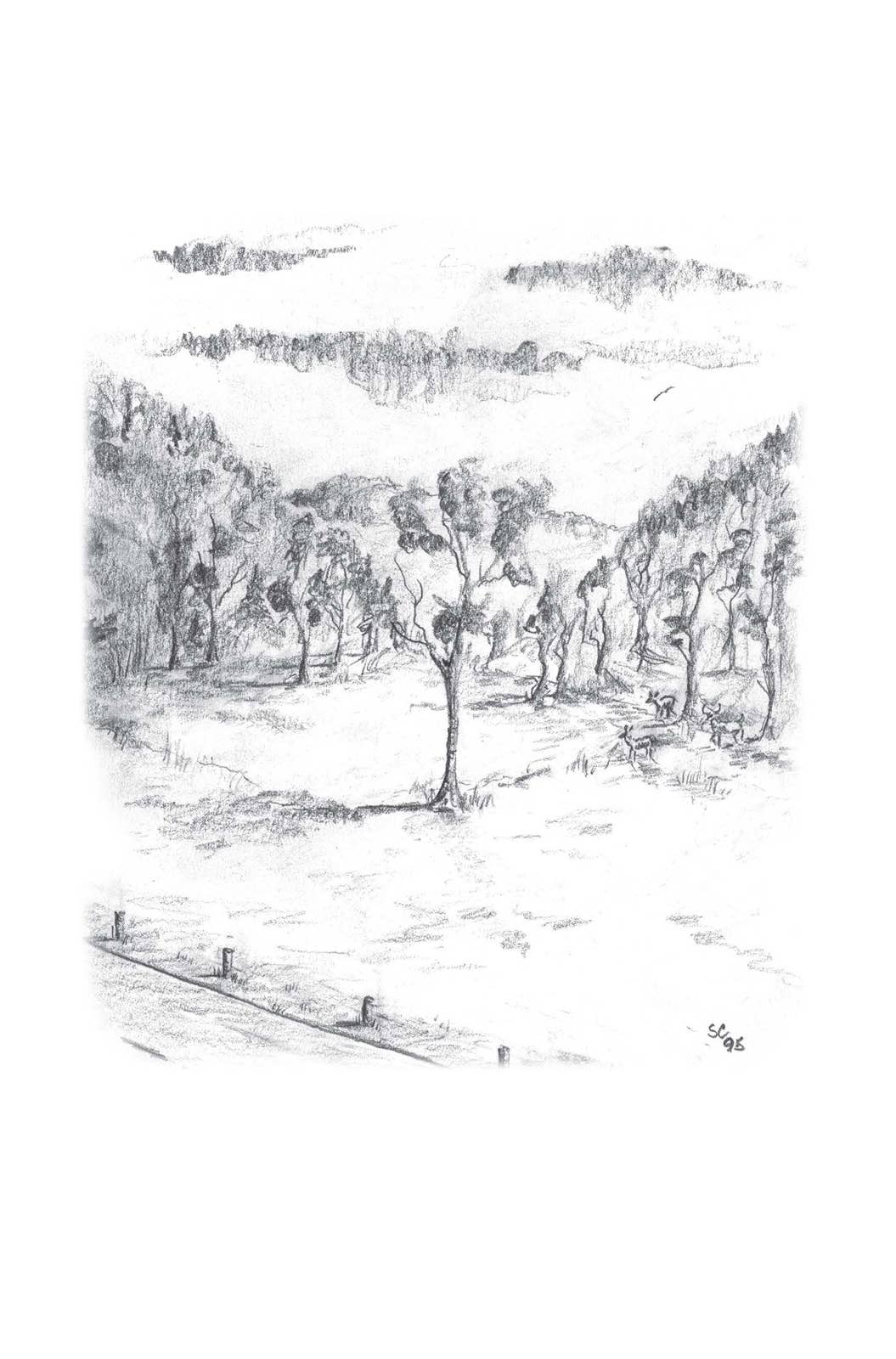 A Look at Life from a Deer Stand Book (Milano Softone)