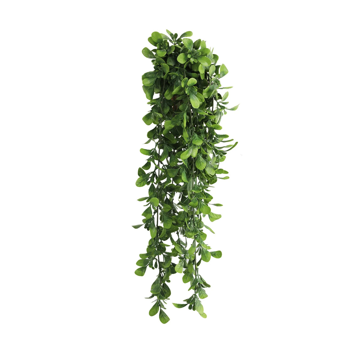 Creeping Fig Garland Artificial Hanging Bush 7.1×30in – NFPA 701 Certified – UV Resistant