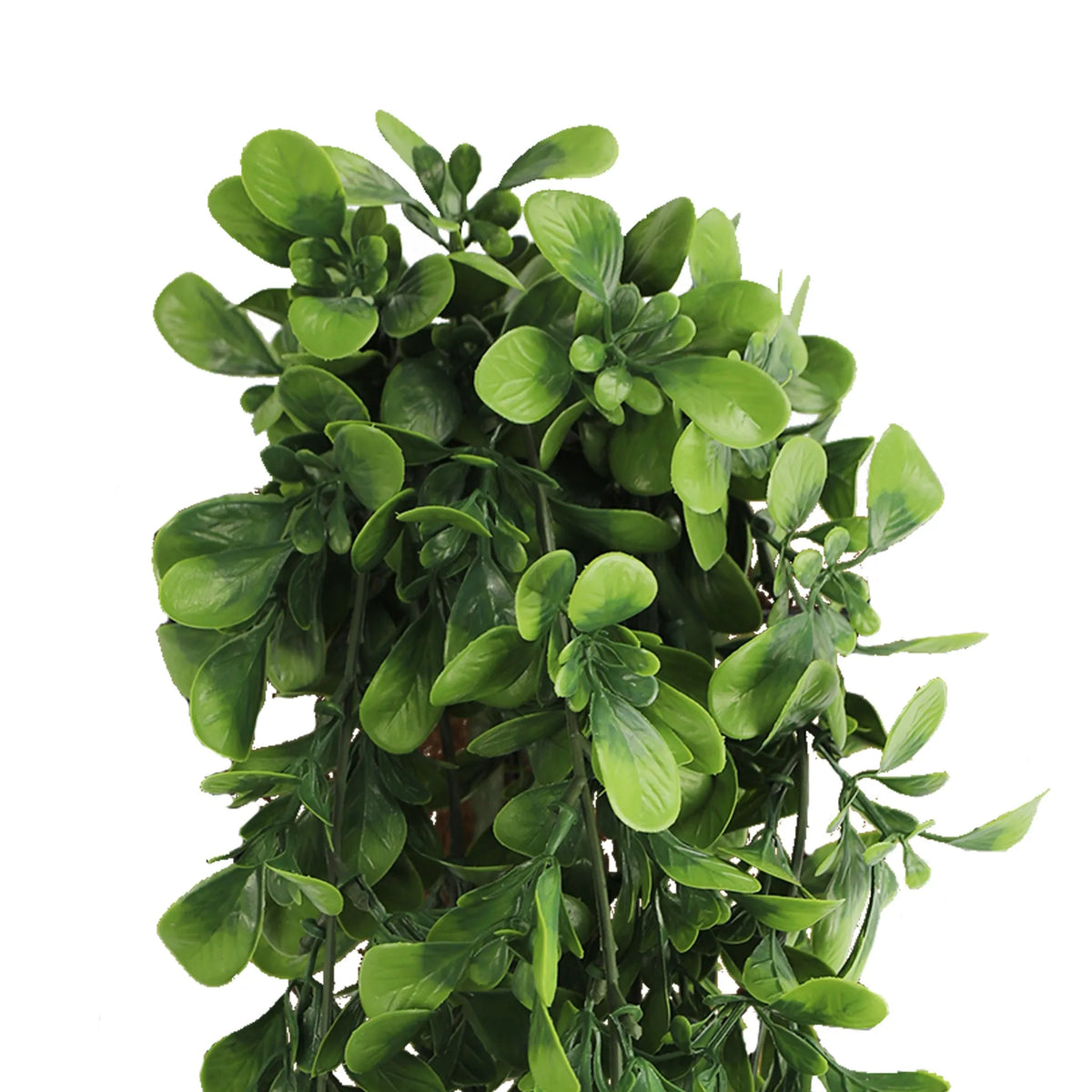 Creeping Fig Garland Artificial Hanging Bush 7.1×30in – NFPA 701 Certified – UV Resistant