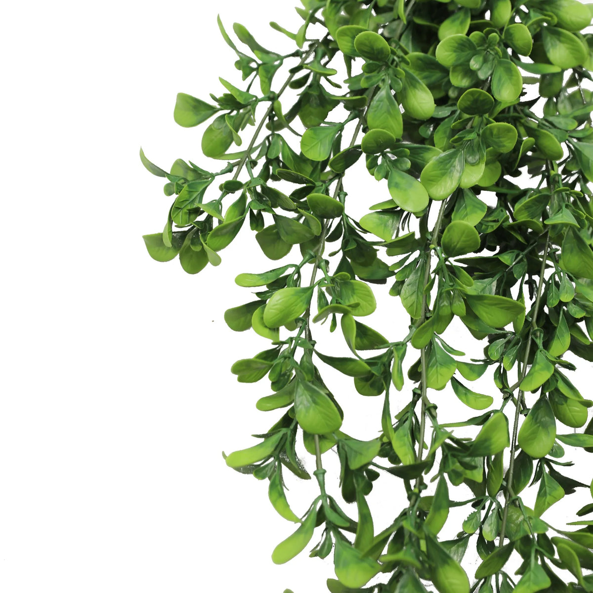 Creeping Fig Garland Artificial Hanging Bush 7.1×30in – NFPA 701 Certified – UV Resistant