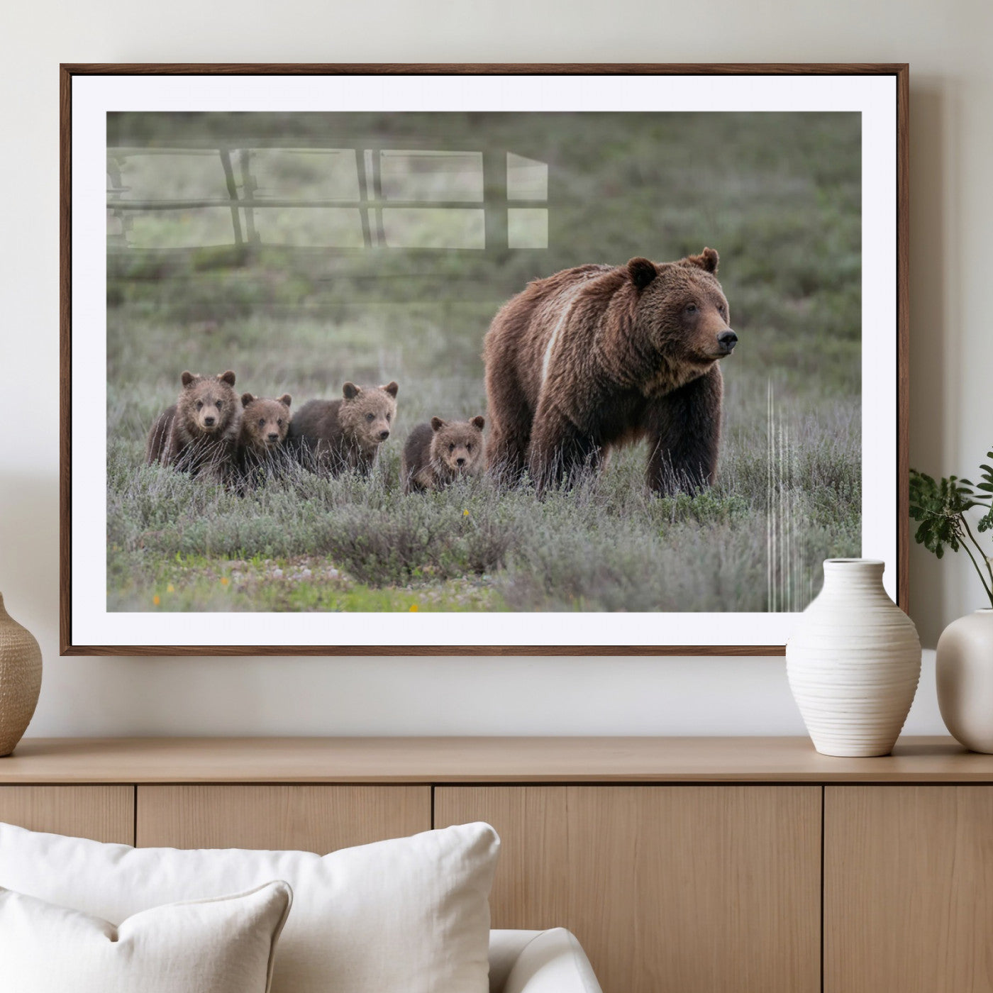Wildlife Photography of 399 Grizzly Bear Cubs | Queen of the