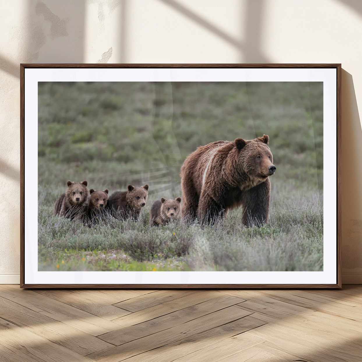 Wildlife Photography of 399 Grizzly Bear Cubs | Queen of the