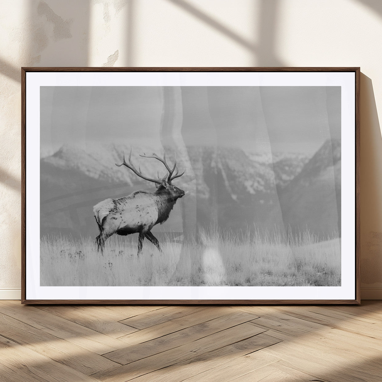 Elk Photography Wall Art Canvas Print, Framed Mountain