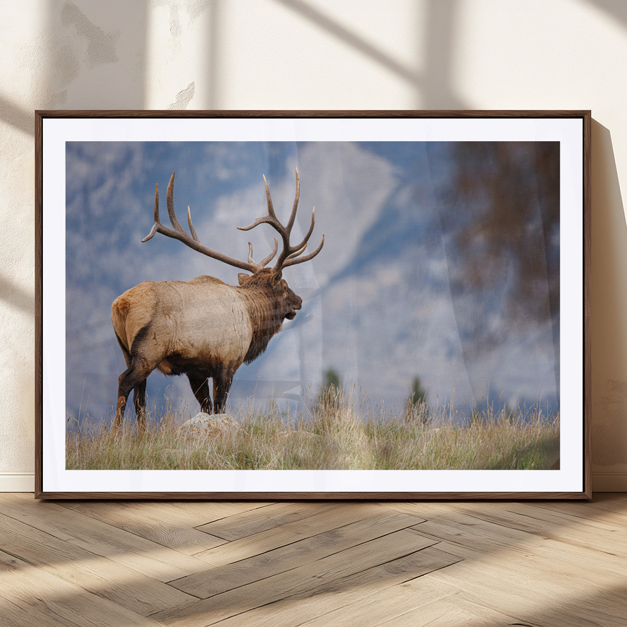 Mountain Elk Wall Art Canvas Print – Framed Rustic Wildlife