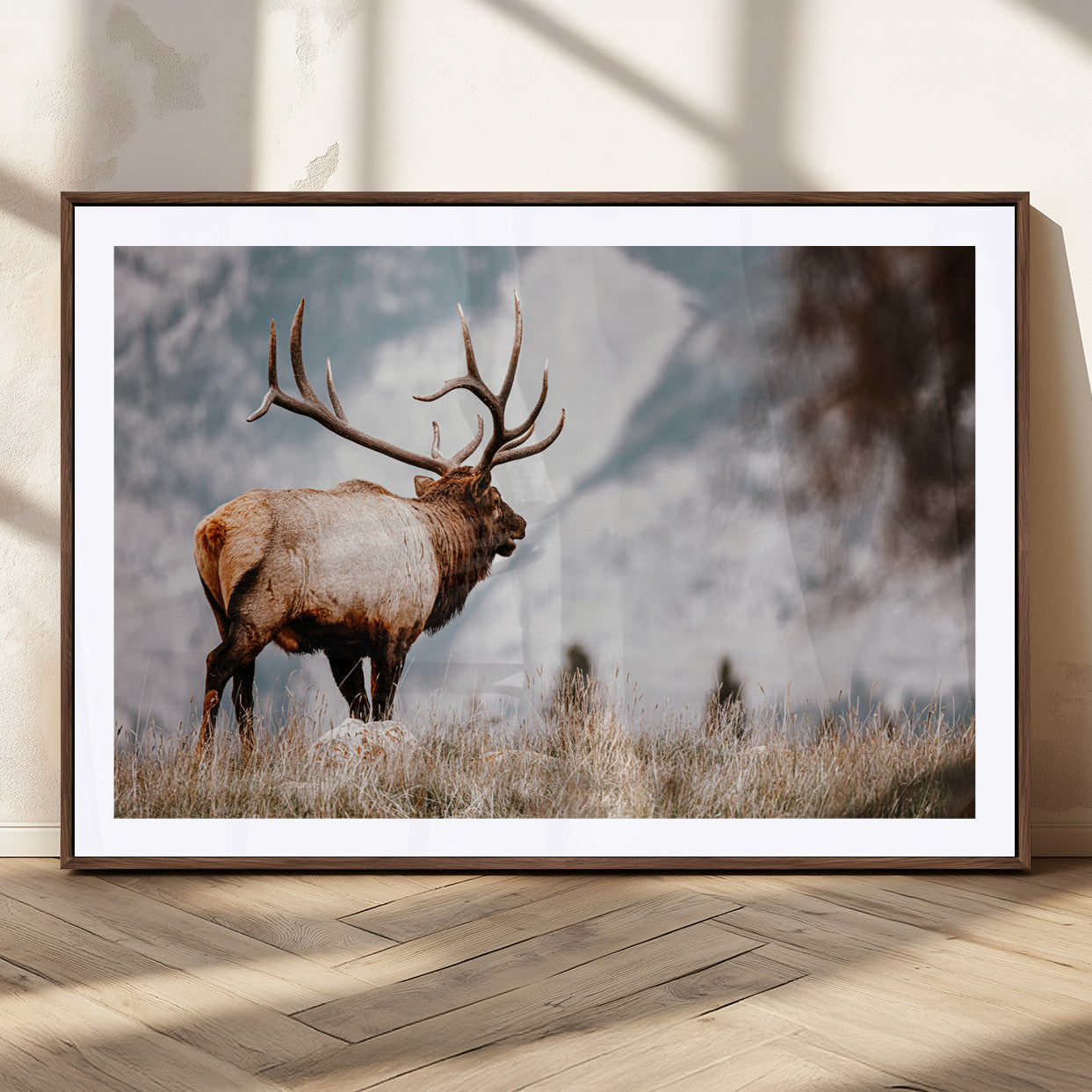 Elk Photography Wall Art Canvas Print – Framed Mountain
