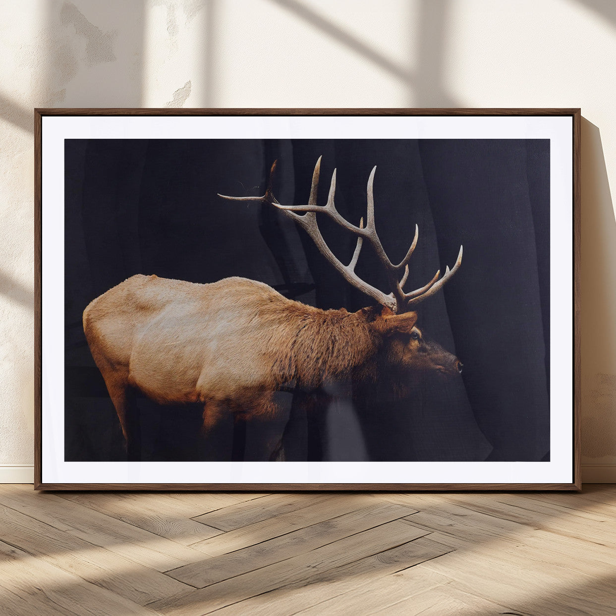Bull Elk Decor Wall Art Canvas Print – Framed Elk