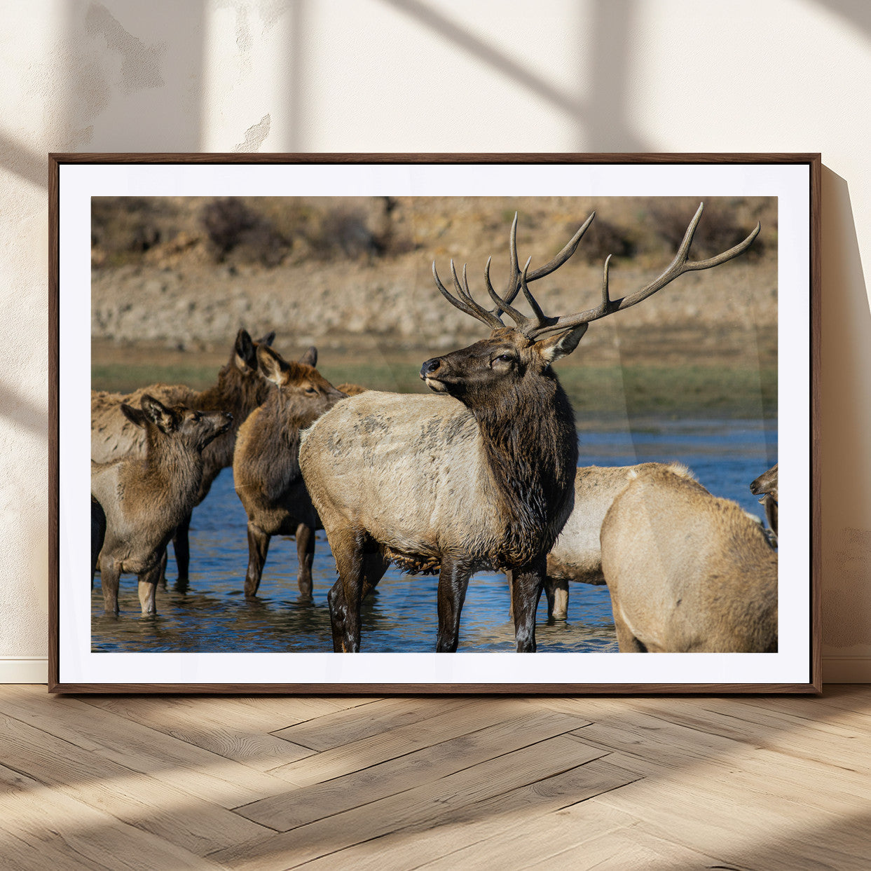 Wild Elk Wall Art Canvas Print – Framed Neutral Wildlife