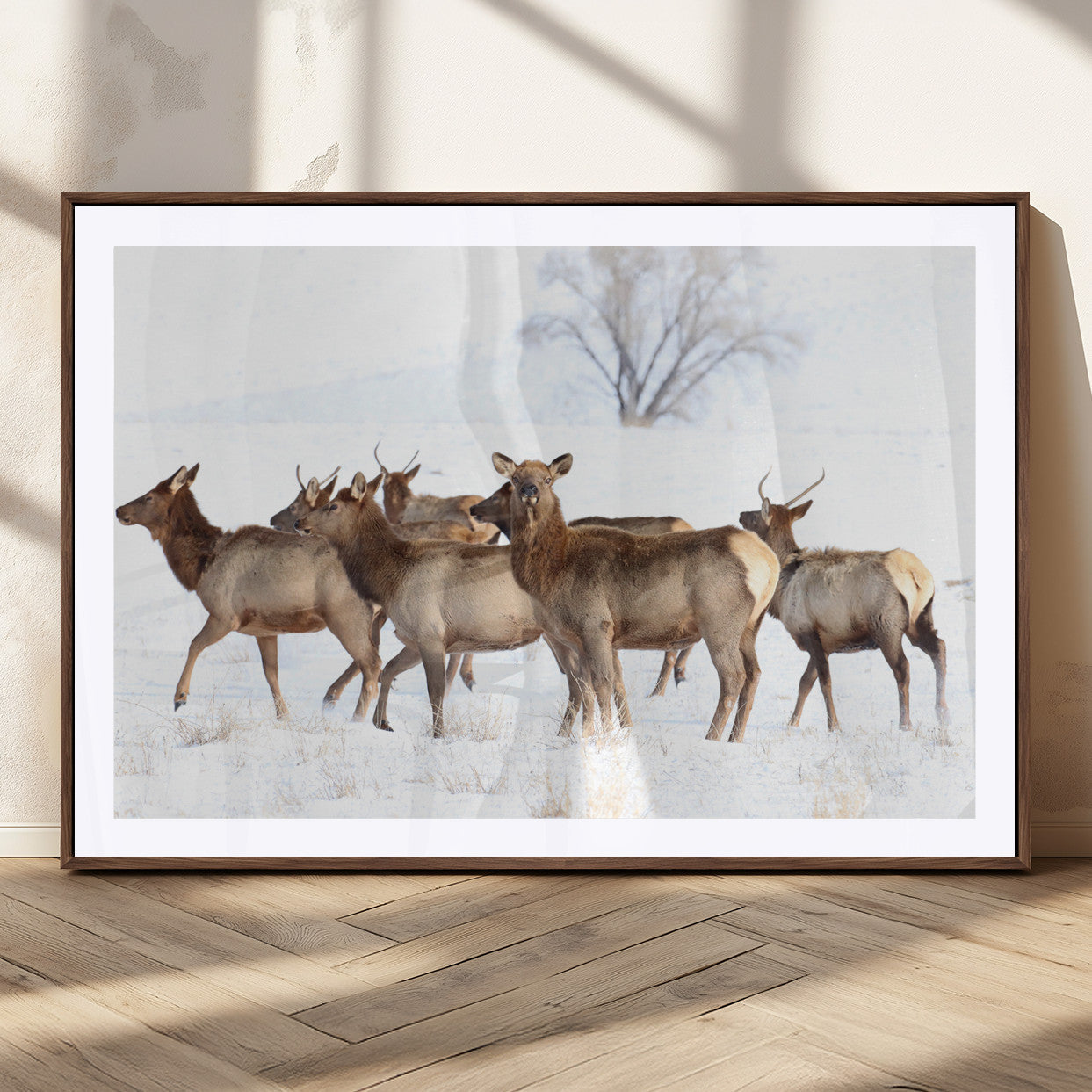 Snowy Elk Herd Wall Art Canvas Print – Majestic Winter