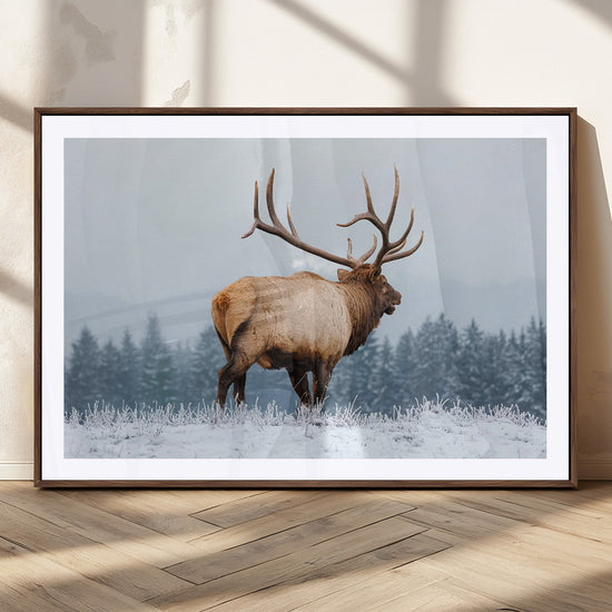 Majestic Elk Snowy Forest Wall Art Canvas Print – Winter
