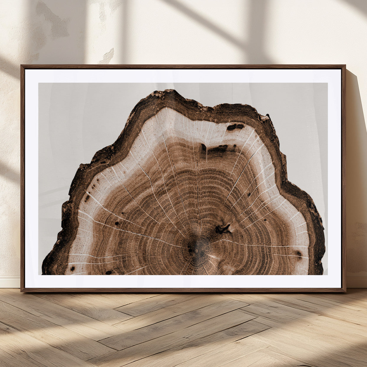 Rustic Wood Rings Wall Art | Nature-Inspired Tree Ring