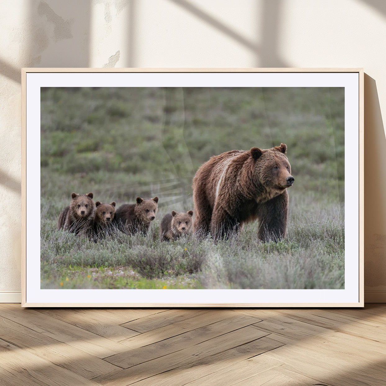 Wildlife Photography of 399 Grizzly Bear Cubs | Queen of the