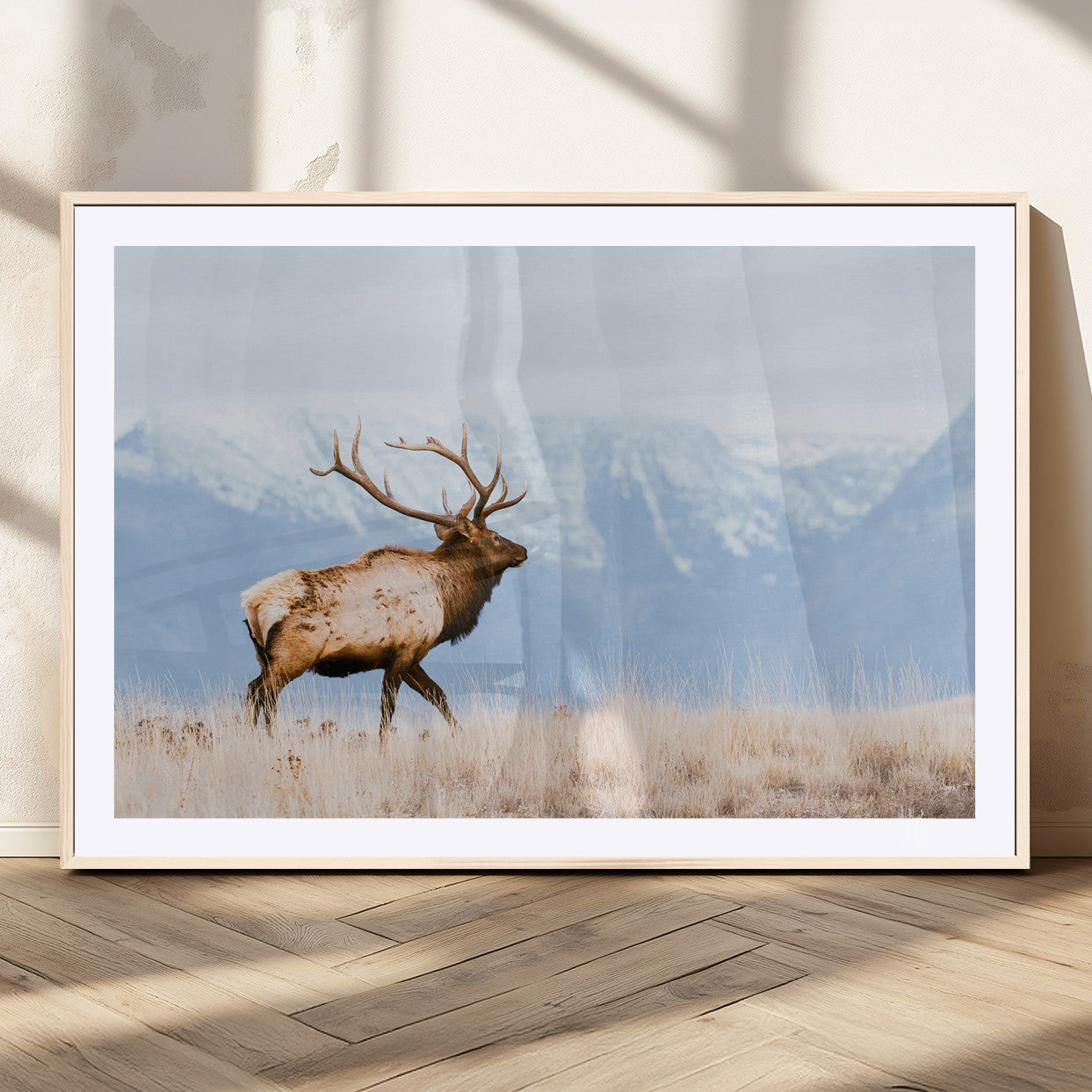 Elk Wall Art Canvas Print – Framed Mountain Wildlife Art