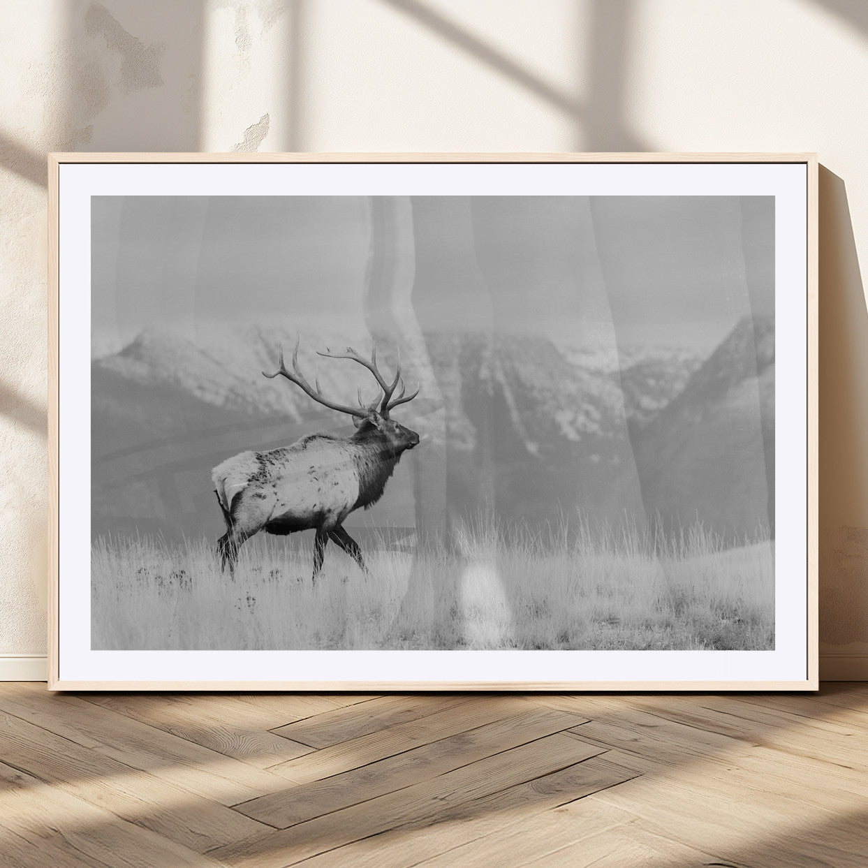 Elk Photography Wall Art Canvas Print, Framed Mountain