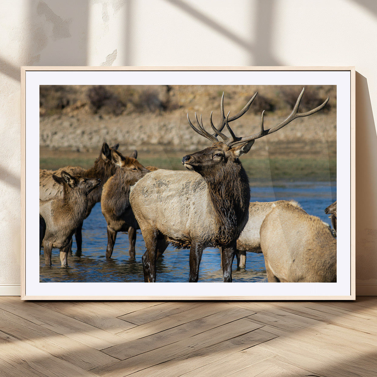 Wild Elk Wall Art Canvas Print – Framed Neutral Wildlife
