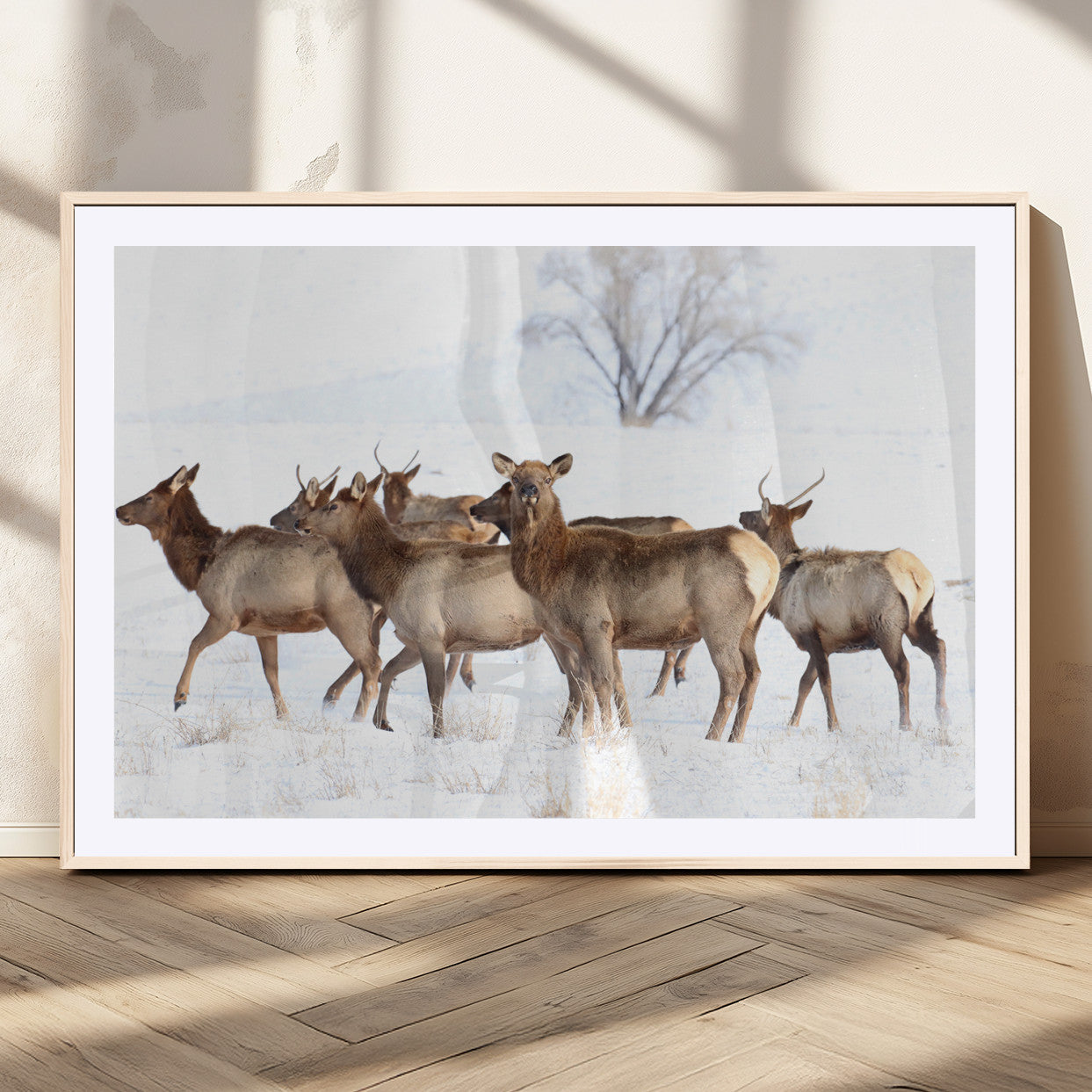 Snowy Elk Herd Wall Art Canvas Print – Majestic Winter