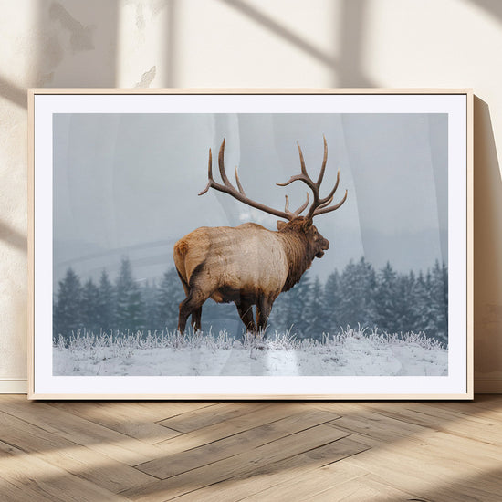 Majestic Elk Snowy Forest Wall Art Canvas Print – Winter