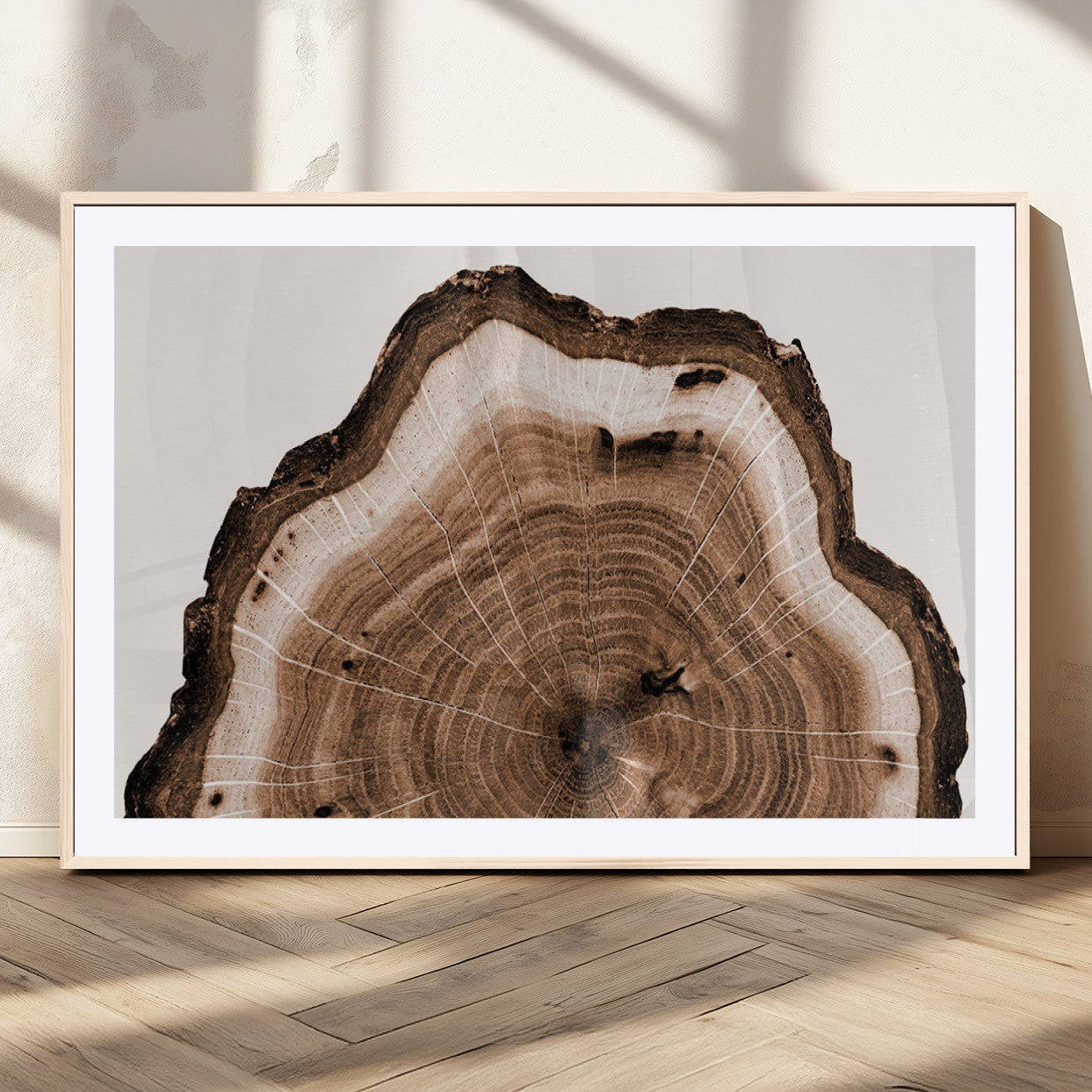 Rustic Wood Rings Wall Art | Nature-Inspired Tree Ring