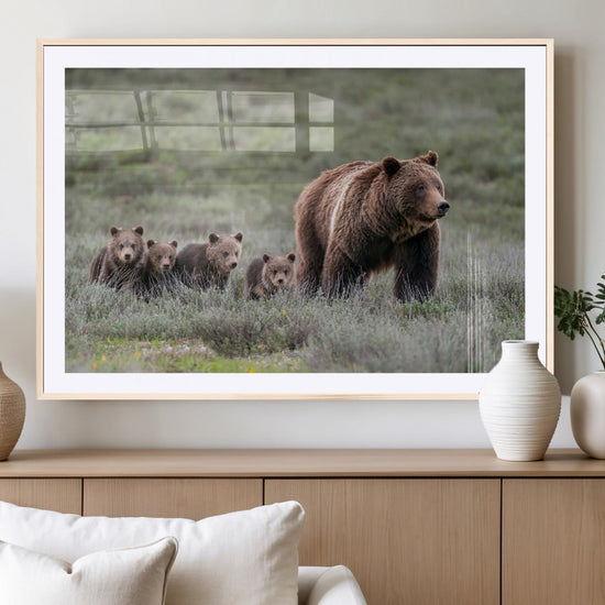 Wildlife Photography of 399 Grizzly Bear Cubs | Queen of the