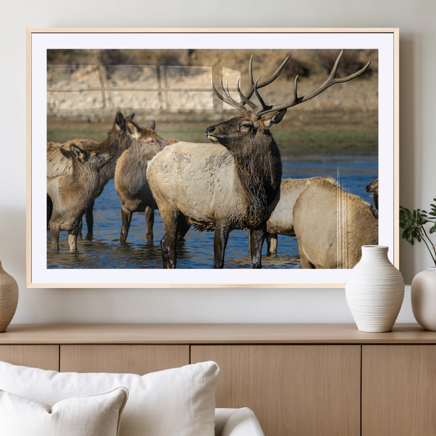 Wild Elk Wall Art Canvas Print – Framed Neutral Wildlife